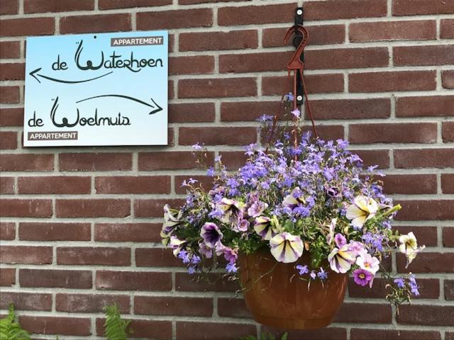 Gastenverblijf De Natureluur Noorden Exterior photo