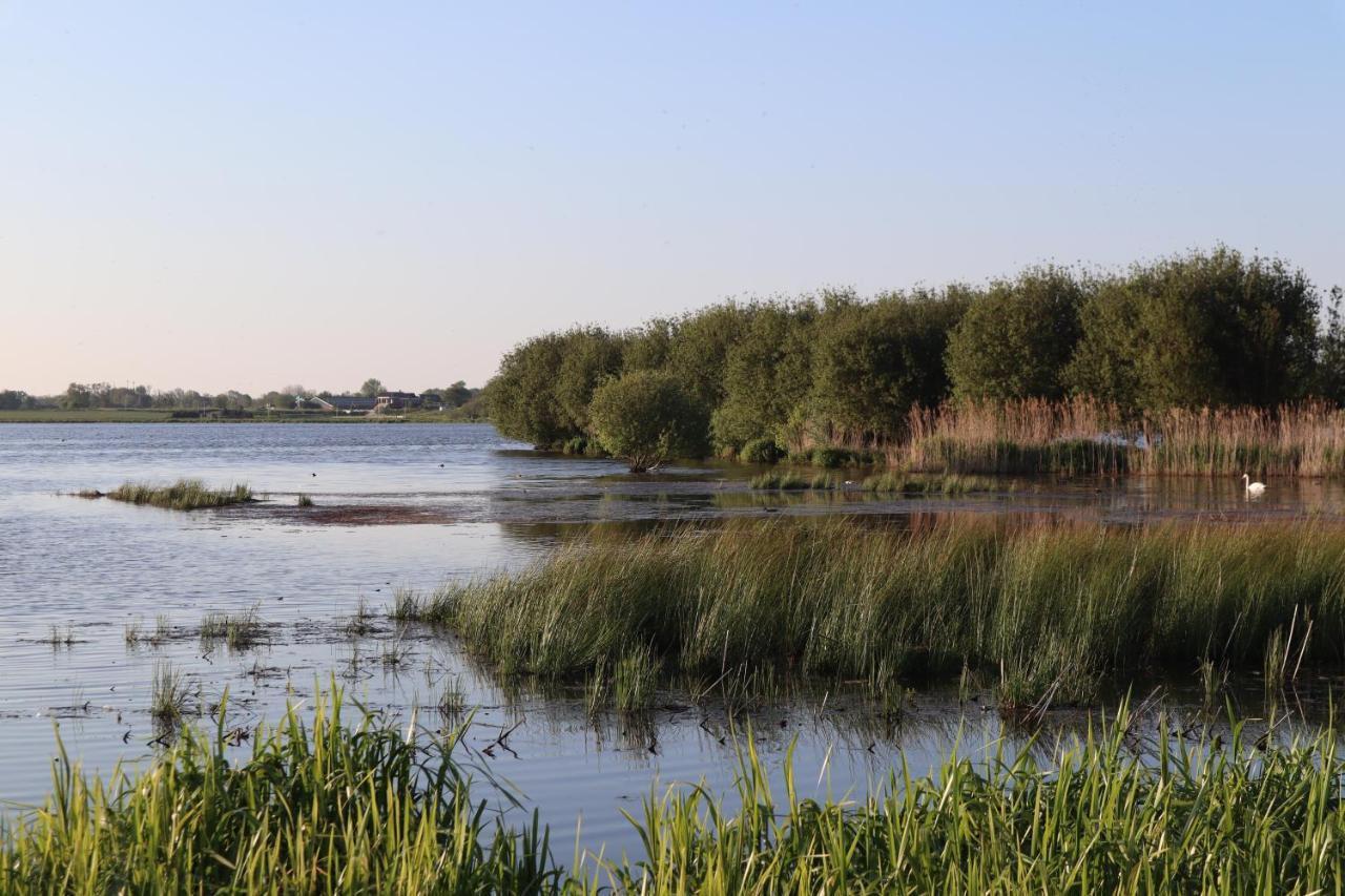 Gastenverblijf De Natureluur Noorden Exterior photo