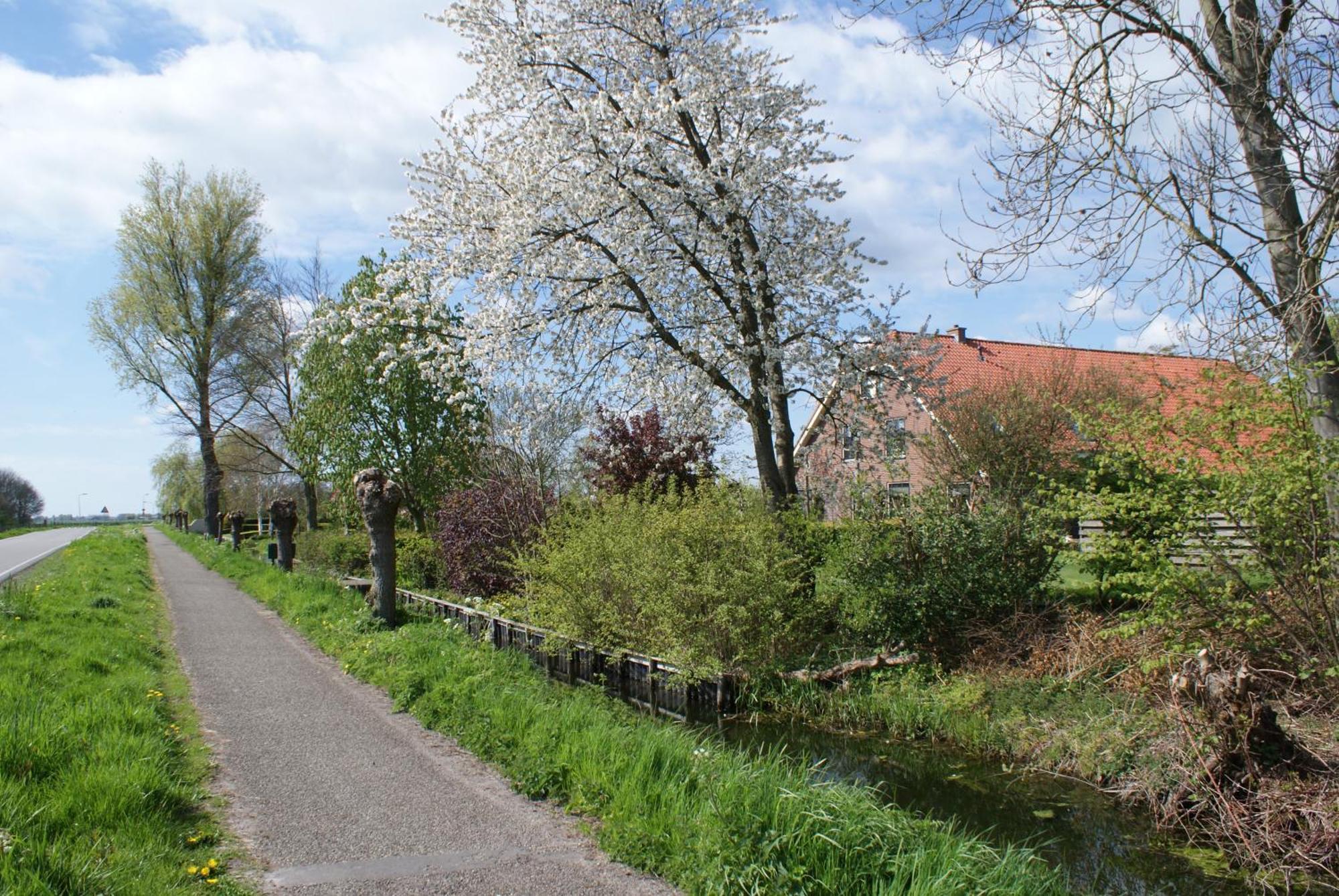 Gastenverblijf De Natureluur Noorden Exterior photo