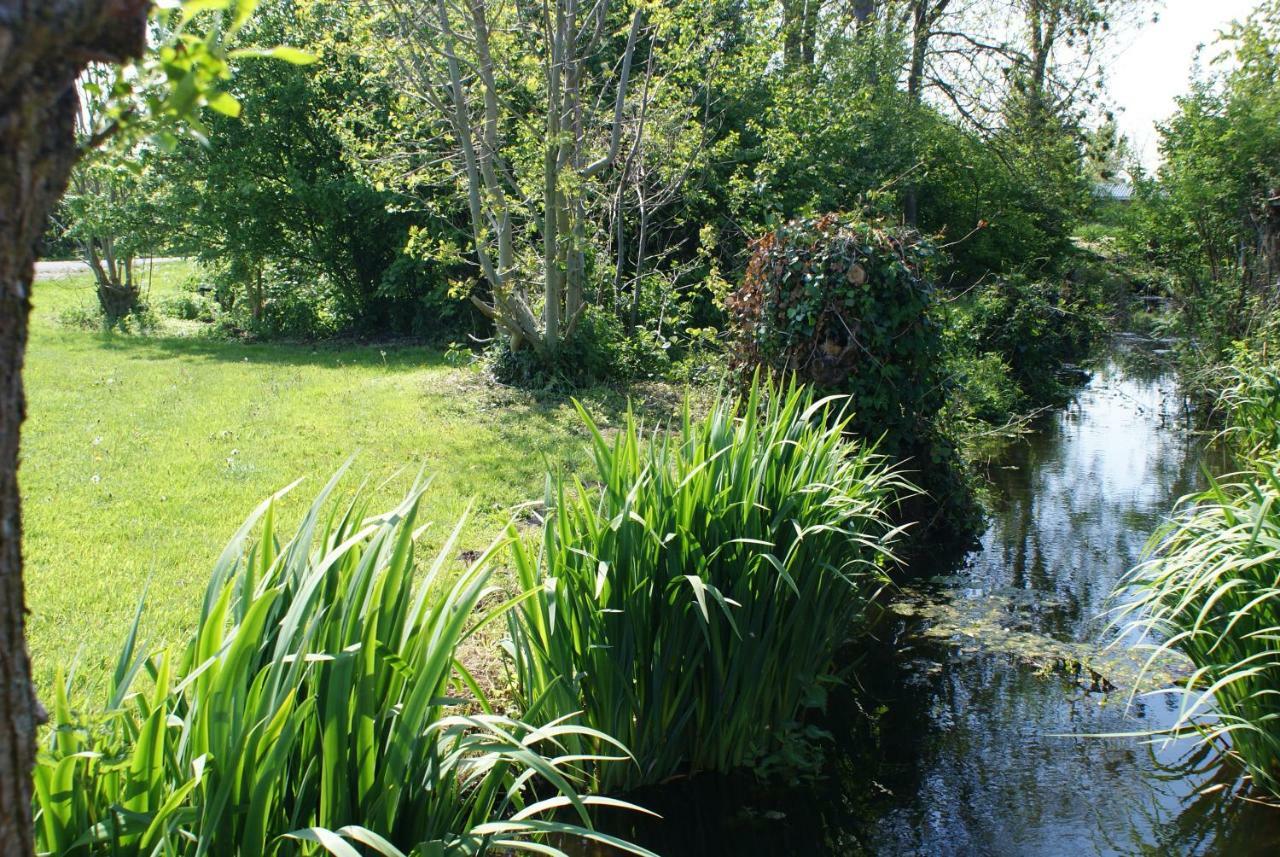 Gastenverblijf De Natureluur Noorden Exterior photo